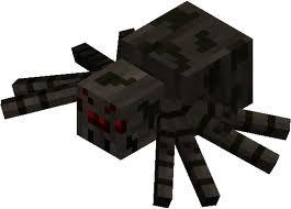 spider 2